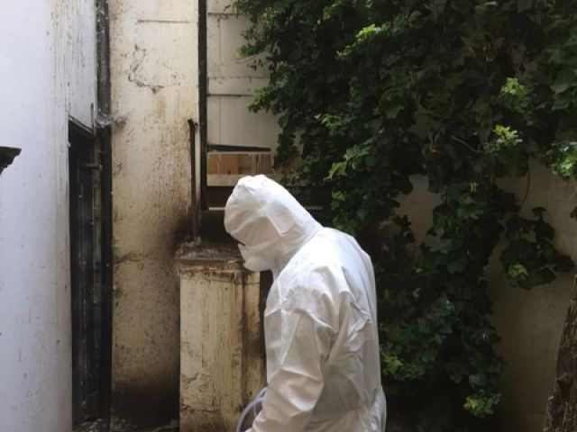 adur-pest-control (15)-kireth-ai